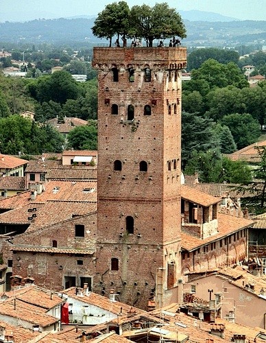 The Guinigi Tower wi...