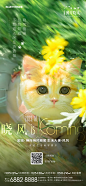 230926_柳岸晓风_晓风登临刷屏系列_画板 1 副本 4