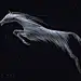 天马行空 Horse