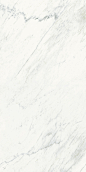 MARMI MAXIMUM PREMIUM WHITE - Ceramic tiles from GranitiFiandre | Architonic : MARMI MAXIMUM PREMIUM WHITE - Designer Ceramic tiles from GranitiFiandre ✓ all information ✓ high-resolution images ✓ CADs ✓ catalogues ✓..