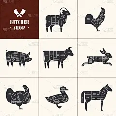 肉店,动物,计划书,部分,食品,猪,牛,餐馆,烹调,复古