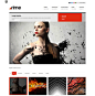 High Quality Responsive and Retina Display Ready WordPress Themes