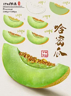 iPad水果插画 哈蜜瓜步骤图