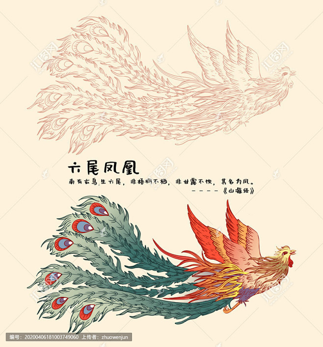 山海经六尾凤凰高清线稿上色插画