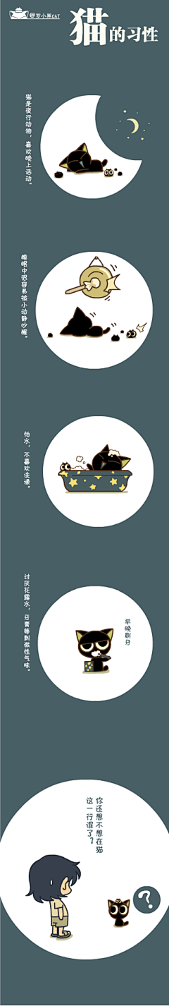 绫舞绣飞采集到罗小黑