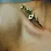还果