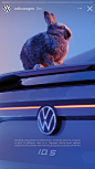 VW – EASTER BUNNY APPROVED