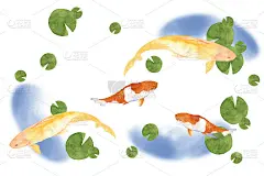 日本彩色鲤鱼鱼插画