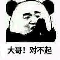 大哥对不起