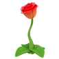玫瑰花 3D 图标