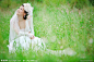 婚纱摄影的搜索结果_百度图片搜索
更多唯美  甜蜜 婚纱礼服照  艺术照尽在欢庆网：http://stm.huanq.com/