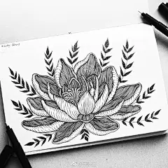 黑白手绘~ 
ins：menis_art ​（转）via @插画师精选 ​ ​​​​