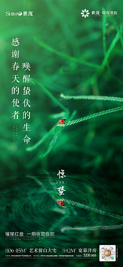 silent心如止水采集到微信稿 其他