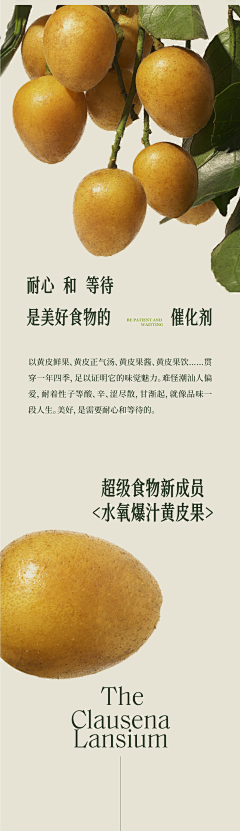 吃鸡胸肉的第一天采集到电商