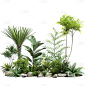 植物通用绿色实景景观绿植组合元素素材