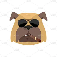 冷静严肃的情感化身。宠物抽雪茄的表情。斗牛犬严格。矢量图