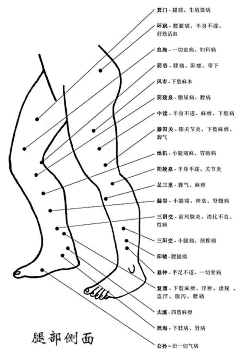 浩森Forest采集到急救&保健