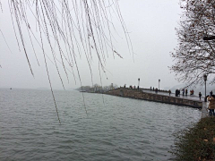 誓言1022采集到西湖
