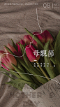 母亲节祝福简约海报-源文件