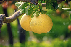 用户1LRozyI4采集到待归类采集