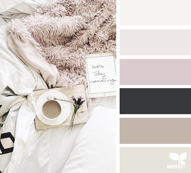 COLOR CODES<br/>#F4F...