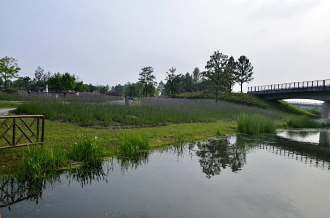 花境及草坡驳岸