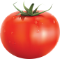 番茄西红柿pngpng（杂）什么都有illustration