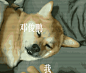 6a3c5631da197e81ee2a196d8cb217839189629ff7365-KwztFf