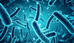 microscopic blue bacteria background