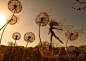 Fairies - Fantasywire - Wire Sculpture