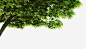 绿色树木侧边装饰春天免抠素材_图宝宝 https://bao16.com 春天 树木 绿色 装饰