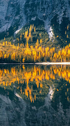 莫小丁采集到风景