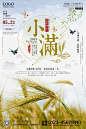 中国传统24节气小满海报