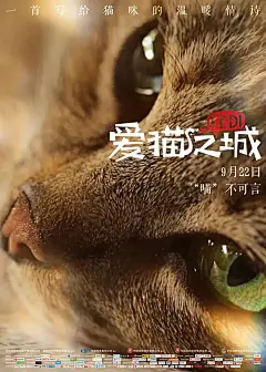 爱猫之城 Kedi 海报