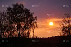 日落时分,垂柳,高清晰度电视,橡树林地,橡树,天空,风,暴风雨,夜晚