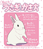 #绘画参考学习#兔子画法