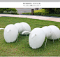 玻璃钢昆虫雕塑卡通蚂蚁摆件户外园林景观花园庭院房产装饰小品-tmall.com天猫