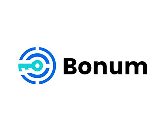Bonum标志设计  钥匙 搜索 查询 ...
