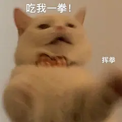 可可爱爱表情包_02