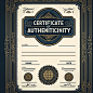 A professional-looking certificate of authenticity. It features an elegant border with intricate designs, a large, decorative seal at the bottom right corner, and a watermark of a globe in the background. The text, 'Certificate of Authenticity' is promine