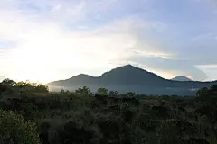 森林高清摄影素材