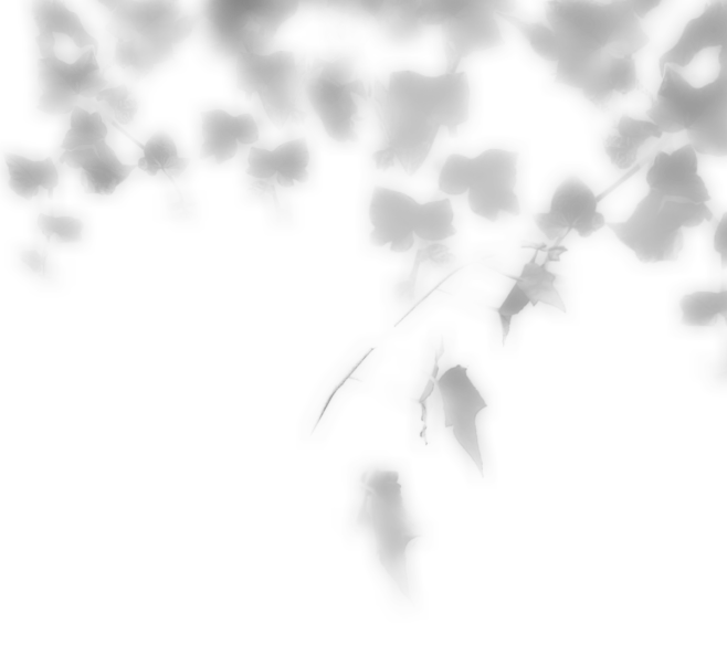 千库网_手绘创意叶斑驳阴影_元素编号12...
