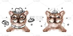 手绘肖像的法国牛头犬，牛头犬与帽子，牛头犬与皇冠在头上