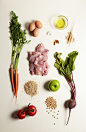 Purina One  dog food Sustainability