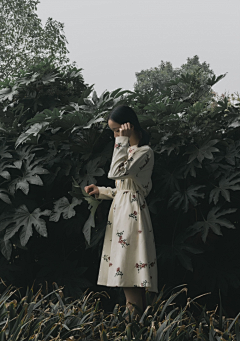 硬核阿猪采集到人物