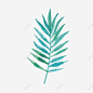 夏季小清新叶子植物 页面网页 平面电商 创意素材