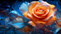 09035_orange_rose_in_the_light_of_blue_background_in_the_style__af628f83-cc3a-451b-a050-b0b82b011840