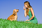 Dog-Boarding-Business