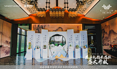 wndxe采集到示范区开放