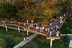 Feylingerer采集到岛